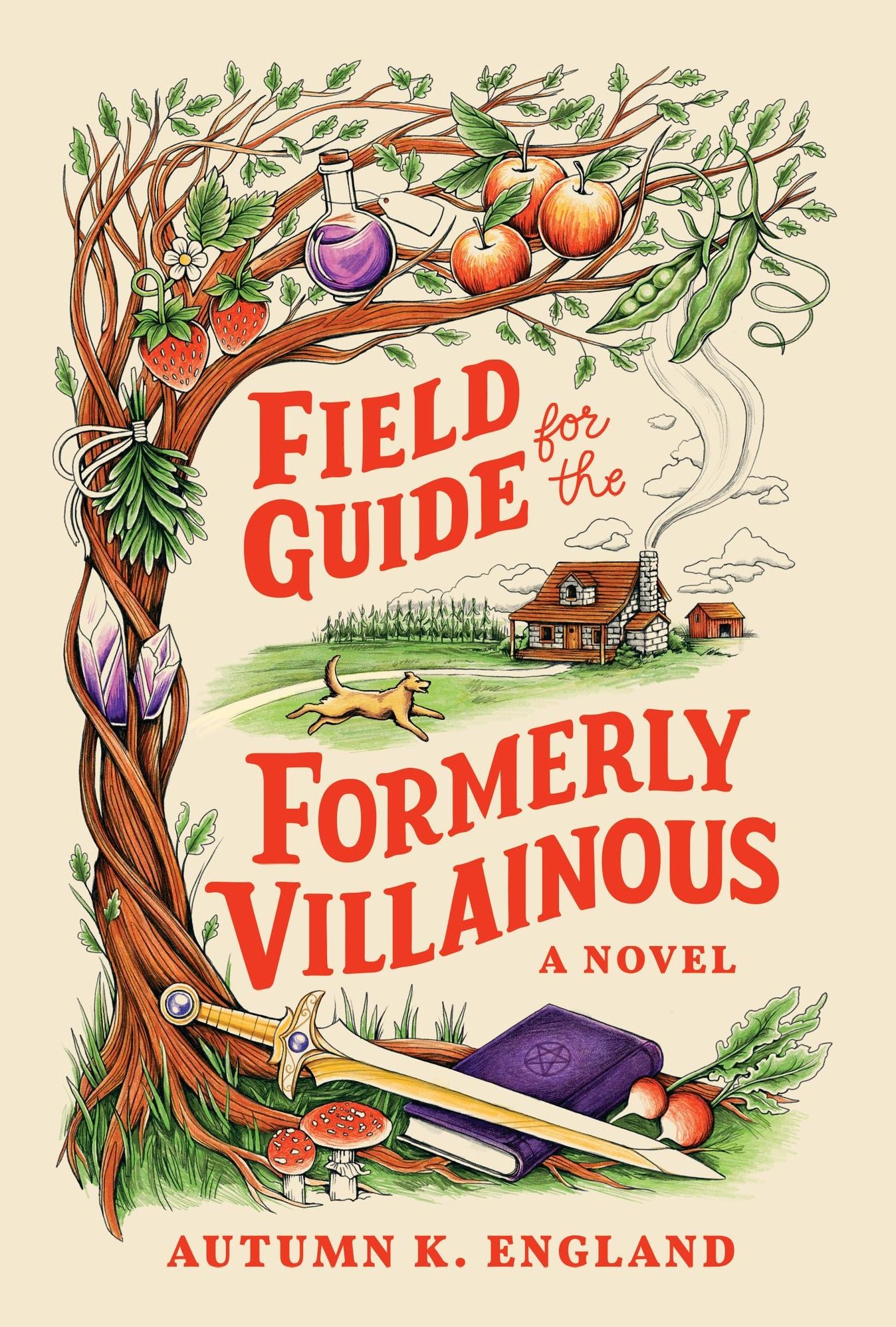 Field Guide for the Formerly Villainous (Deluxe Edition)
