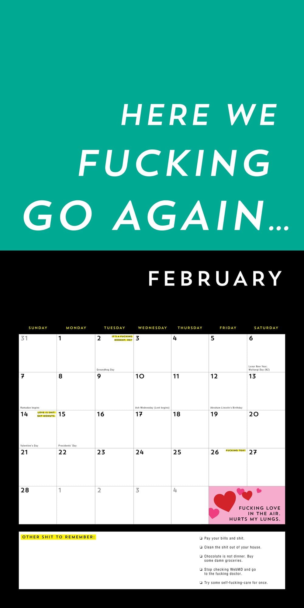 2027 F*cking Wall Calendar
