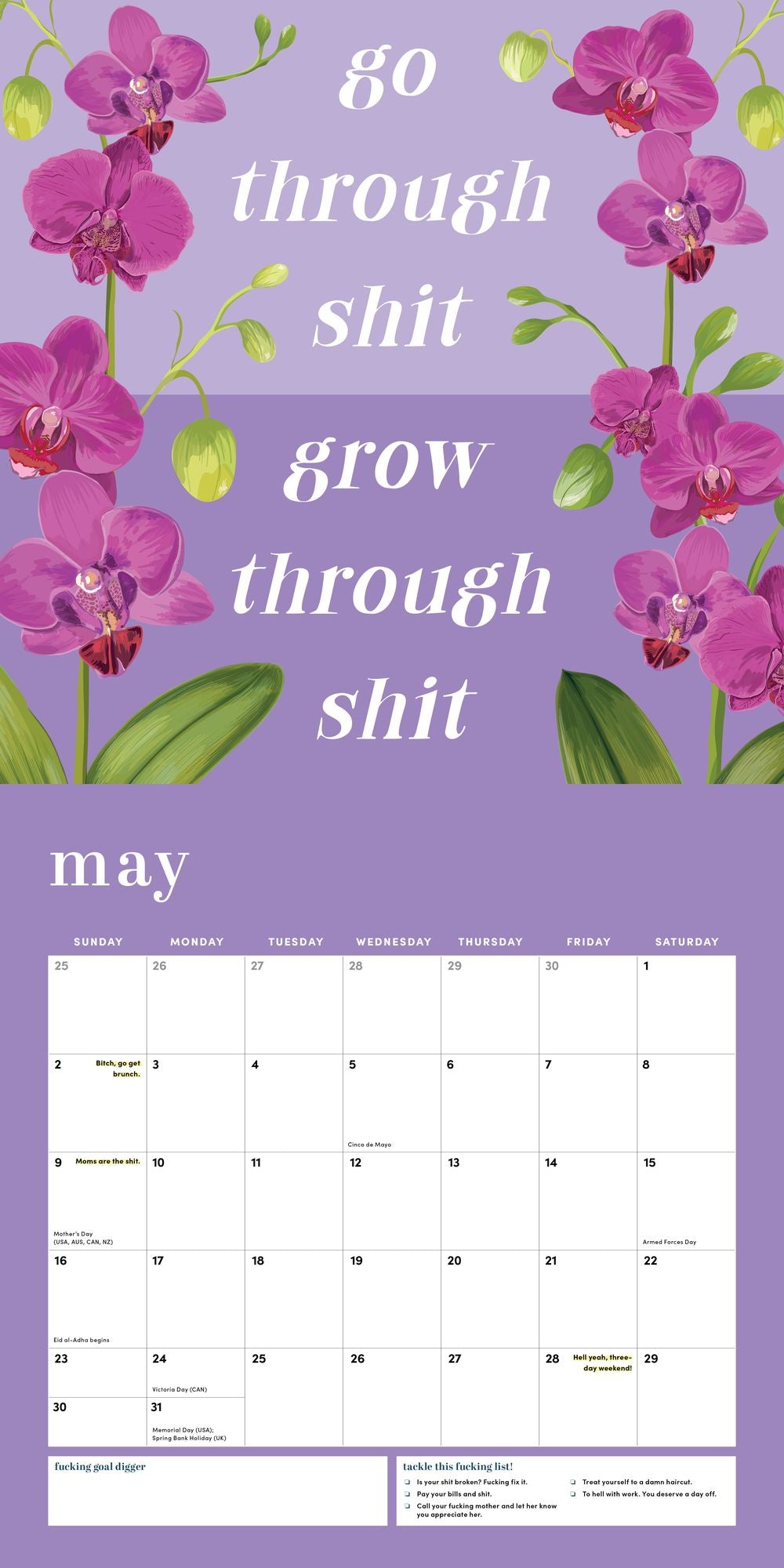 2027 She Believed She Could So She F*cking Did Wall Calendar