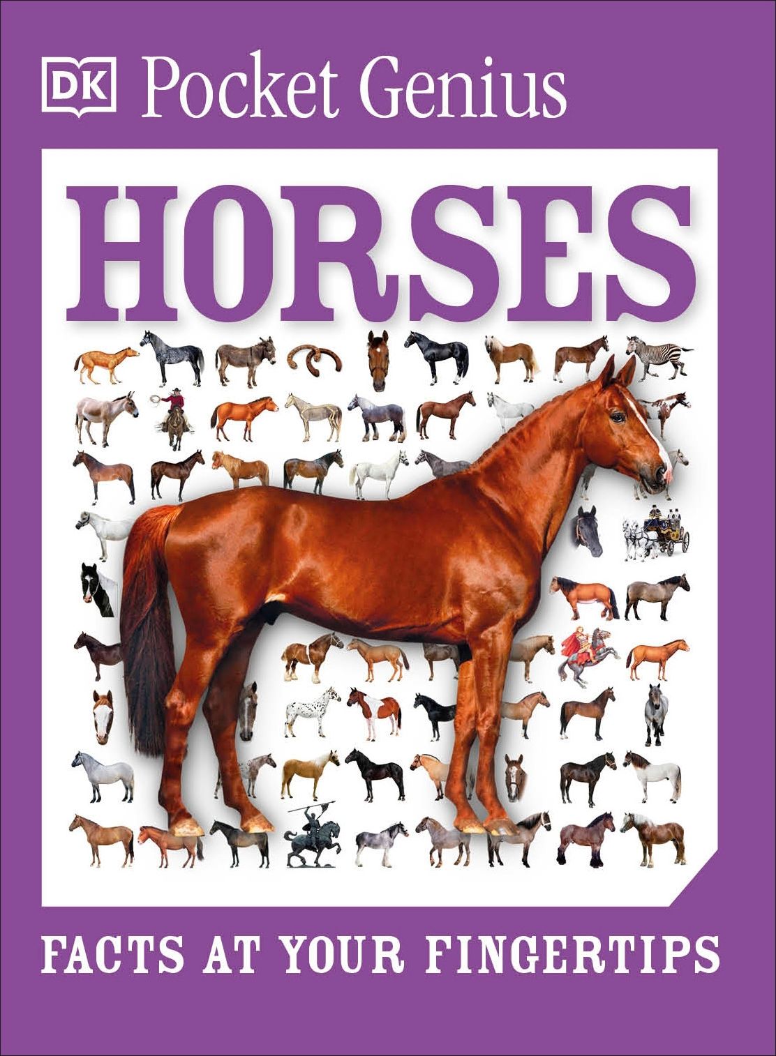 Pocket Genius Horses: Facts at Your Fingertips