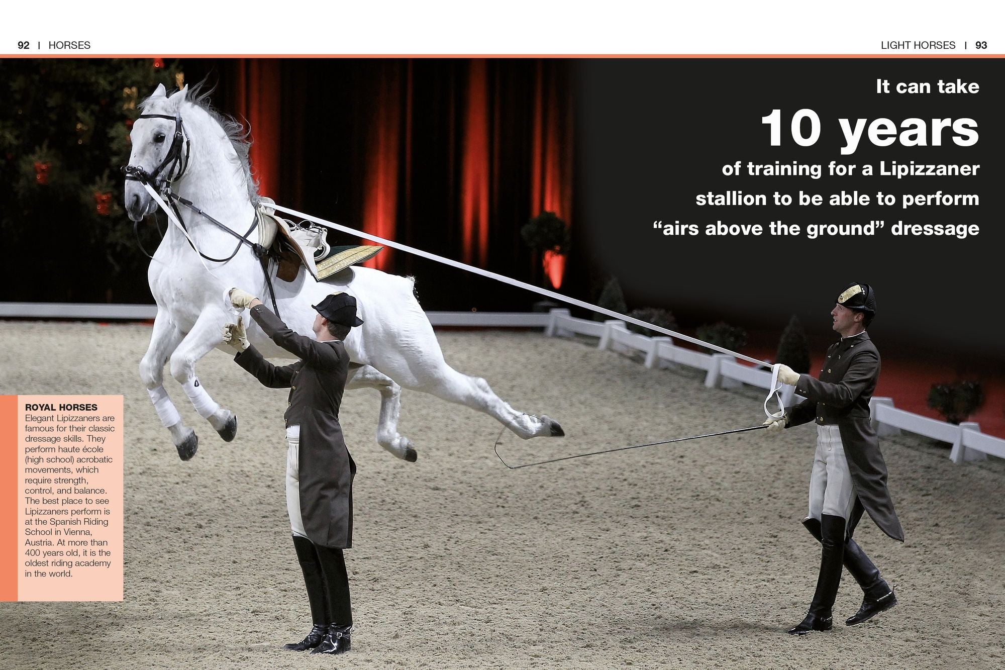 Pocket Genius Horses: Facts at Your Fingertips