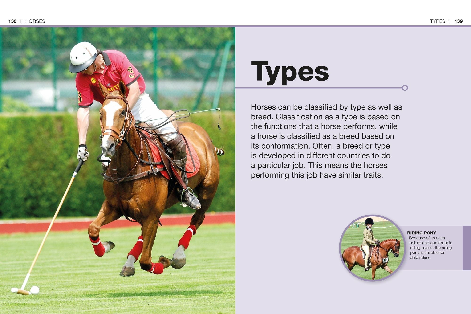 Pocket Genius Horses: Facts at Your Fingertips