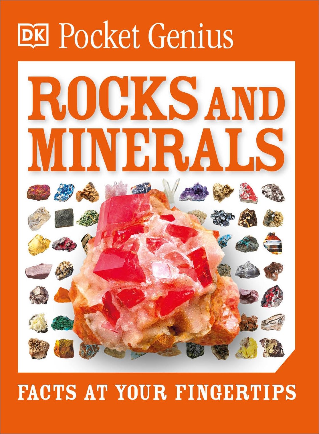 Pocket Genius Rocks and Minerals: Facts at Your Fingertips