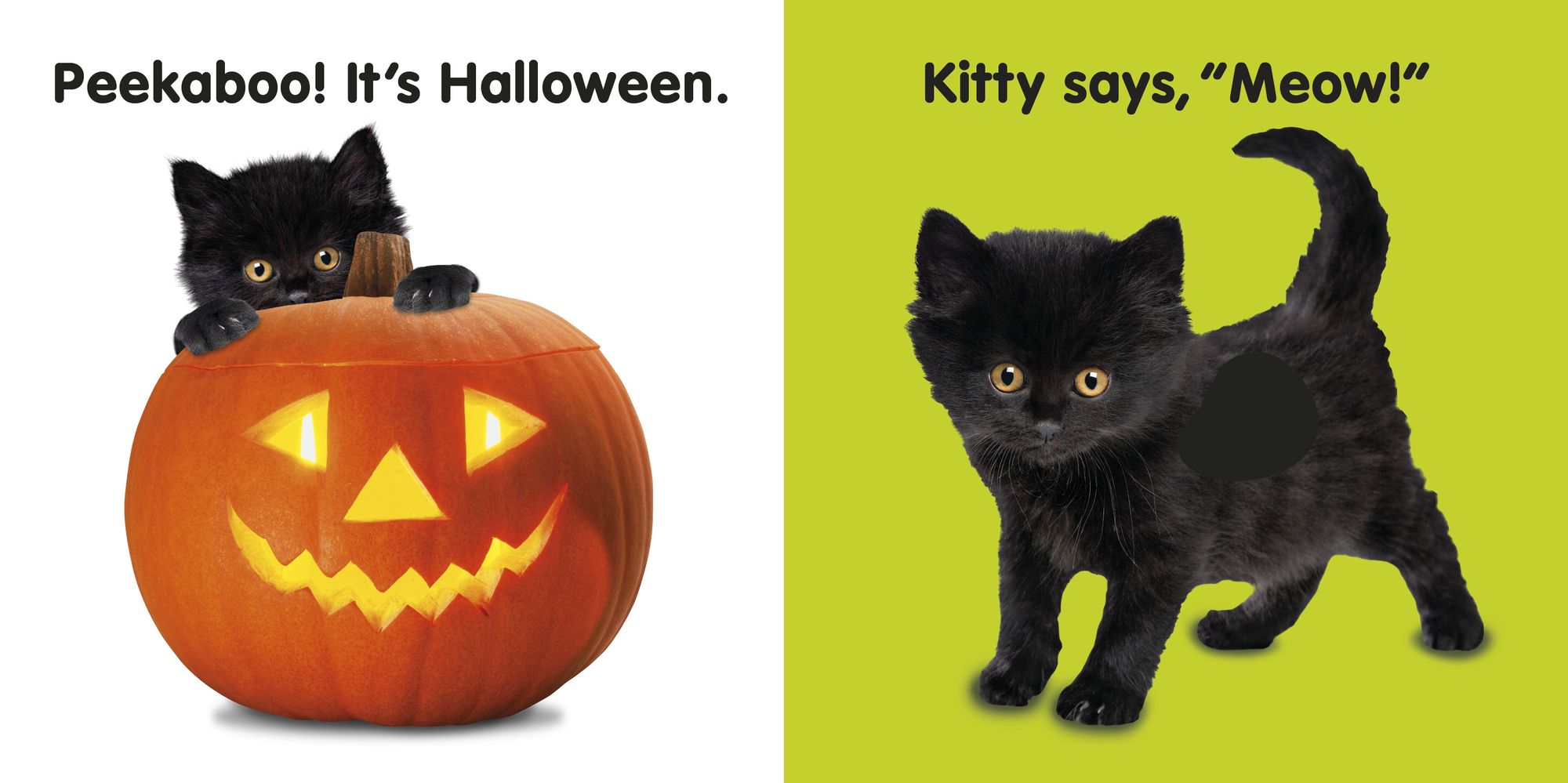 Baby Touch and Feel Halloween: An Interactive Spooky Board Book
