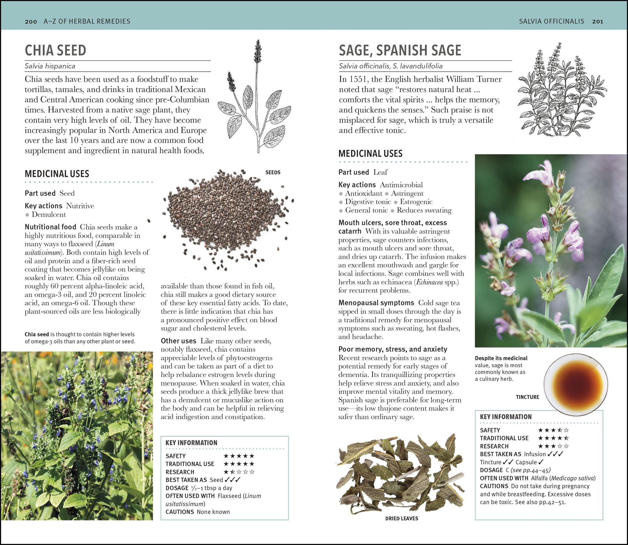Herbal Remedies Handbook: More Than 140 Plant Profiles; Remedies for Over 50 Common Conditions