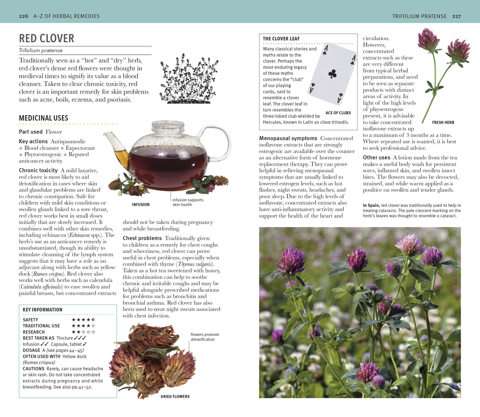 Herbal Remedies Handbook: More Than 140 Plant Profiles; Remedies for Over 50 Common Conditions