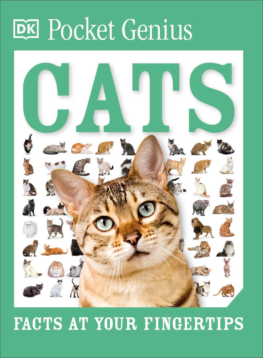 Pocket Genius Cats