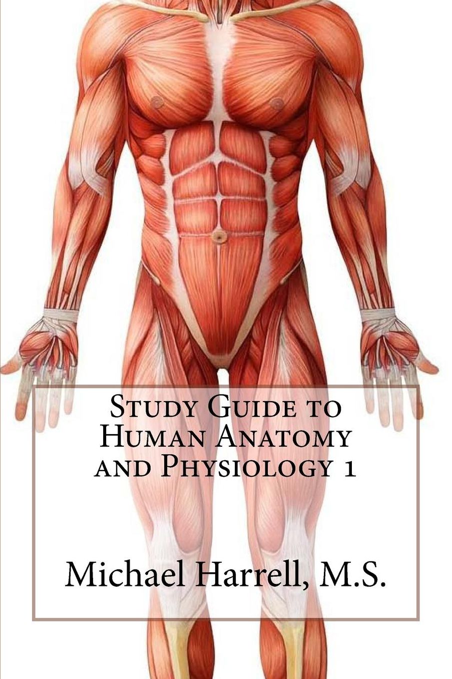 Study Guide to Human Anatomy and Physiology 1