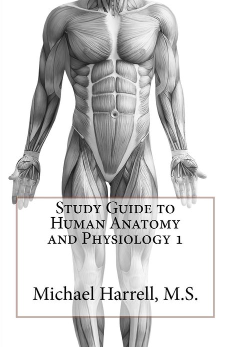 Study Guide to Human Anatomy and Physiology 1