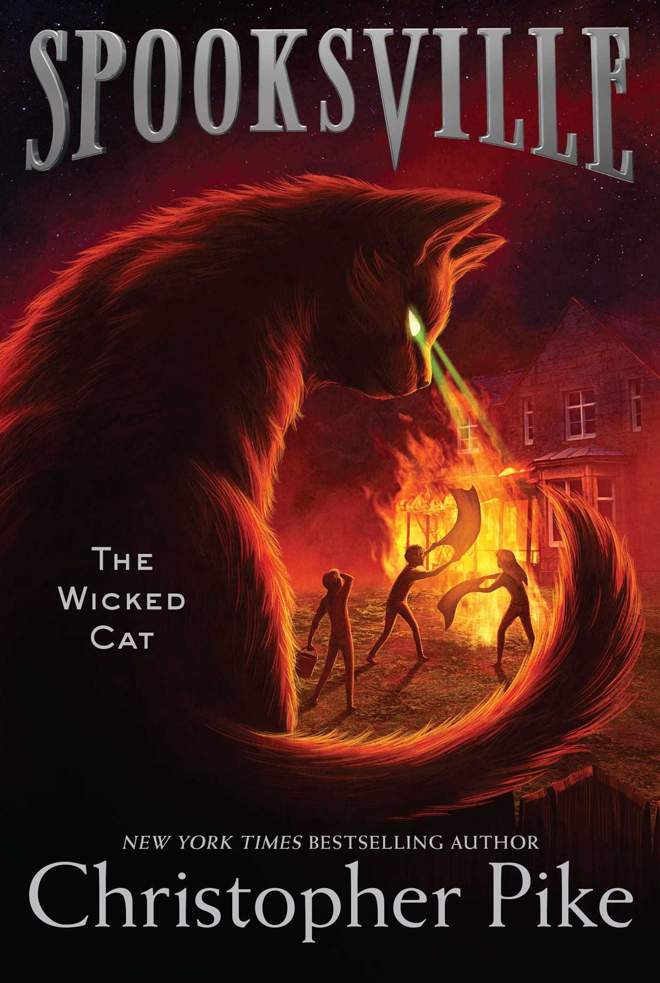 The Wicked Cat (Spooksville Series #10)