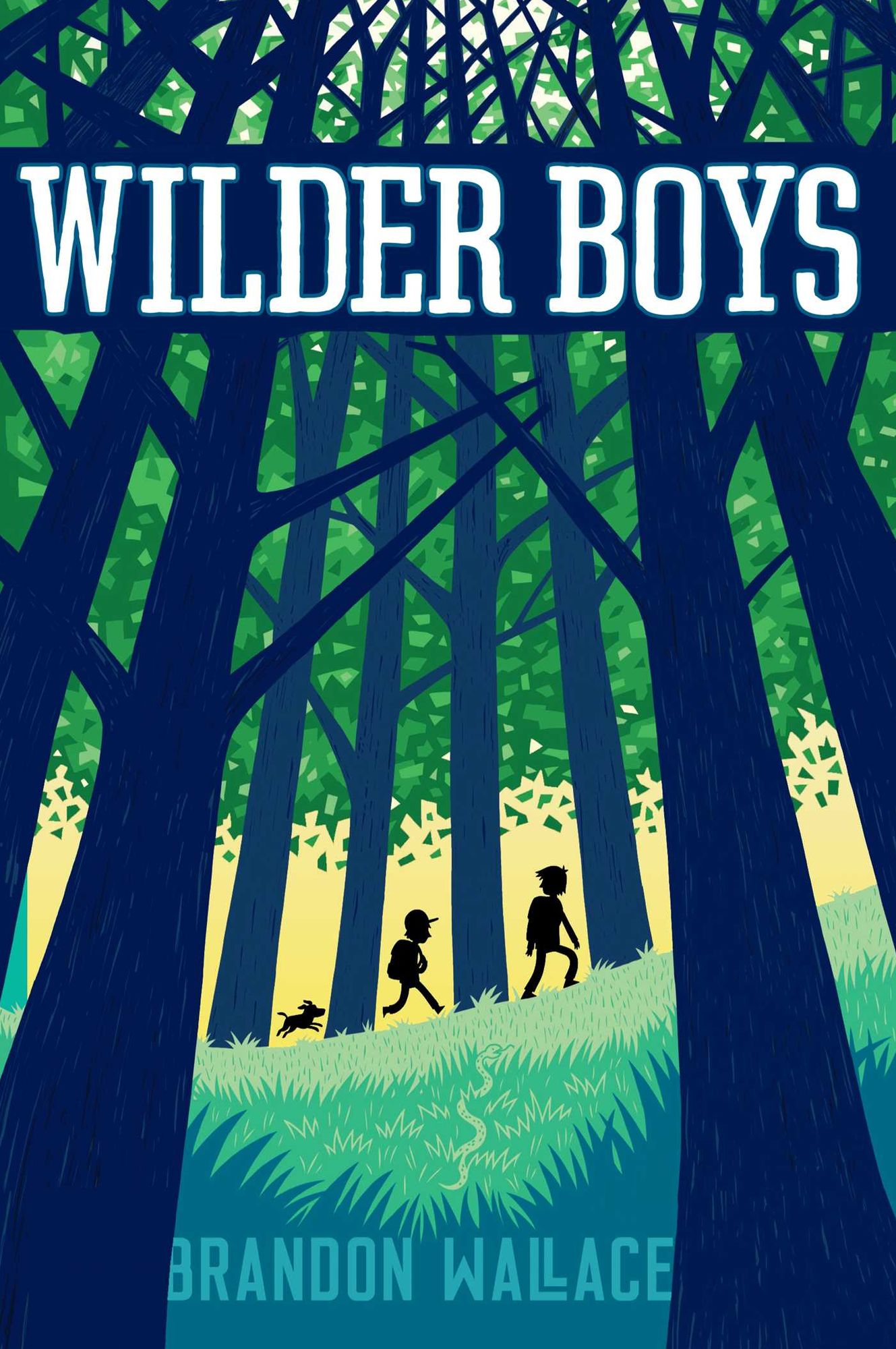 Wilder Boys (Wilder Boys Series #1)