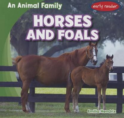 Horses and Foals