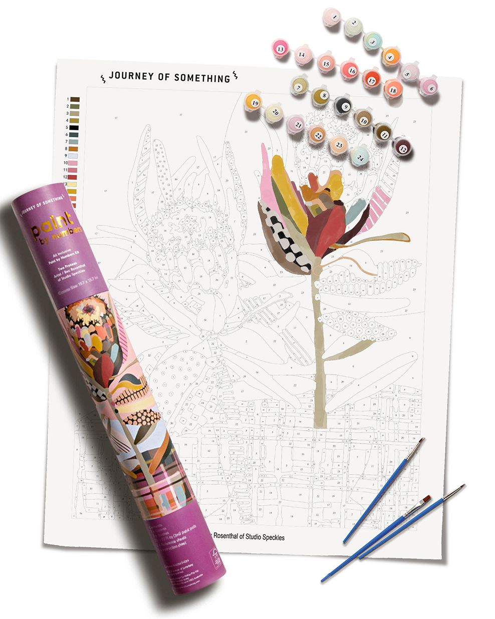 Two Proteas Paint by Numbers Kit & Canvas - DIY Adult Craft Kit - Artist Designed