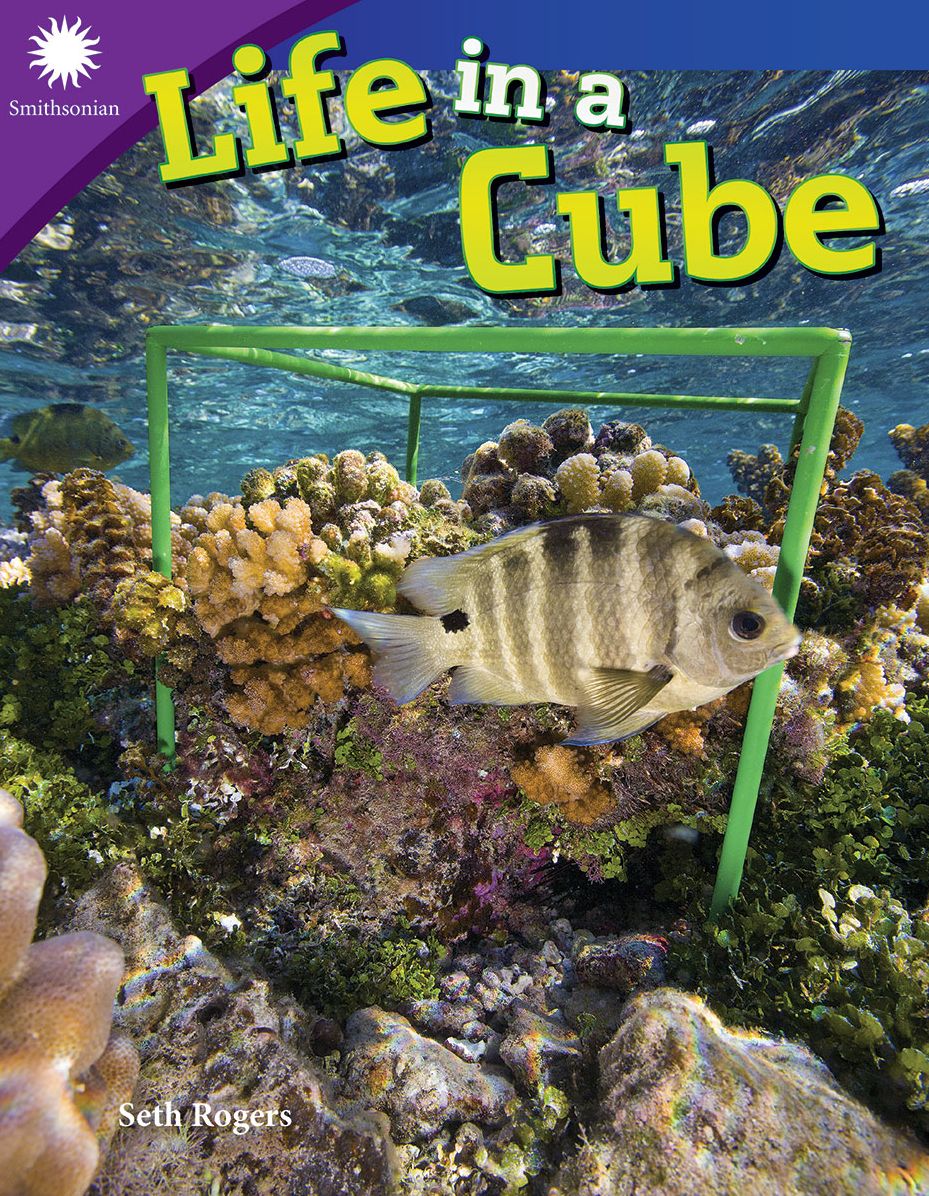 Life in a Cube