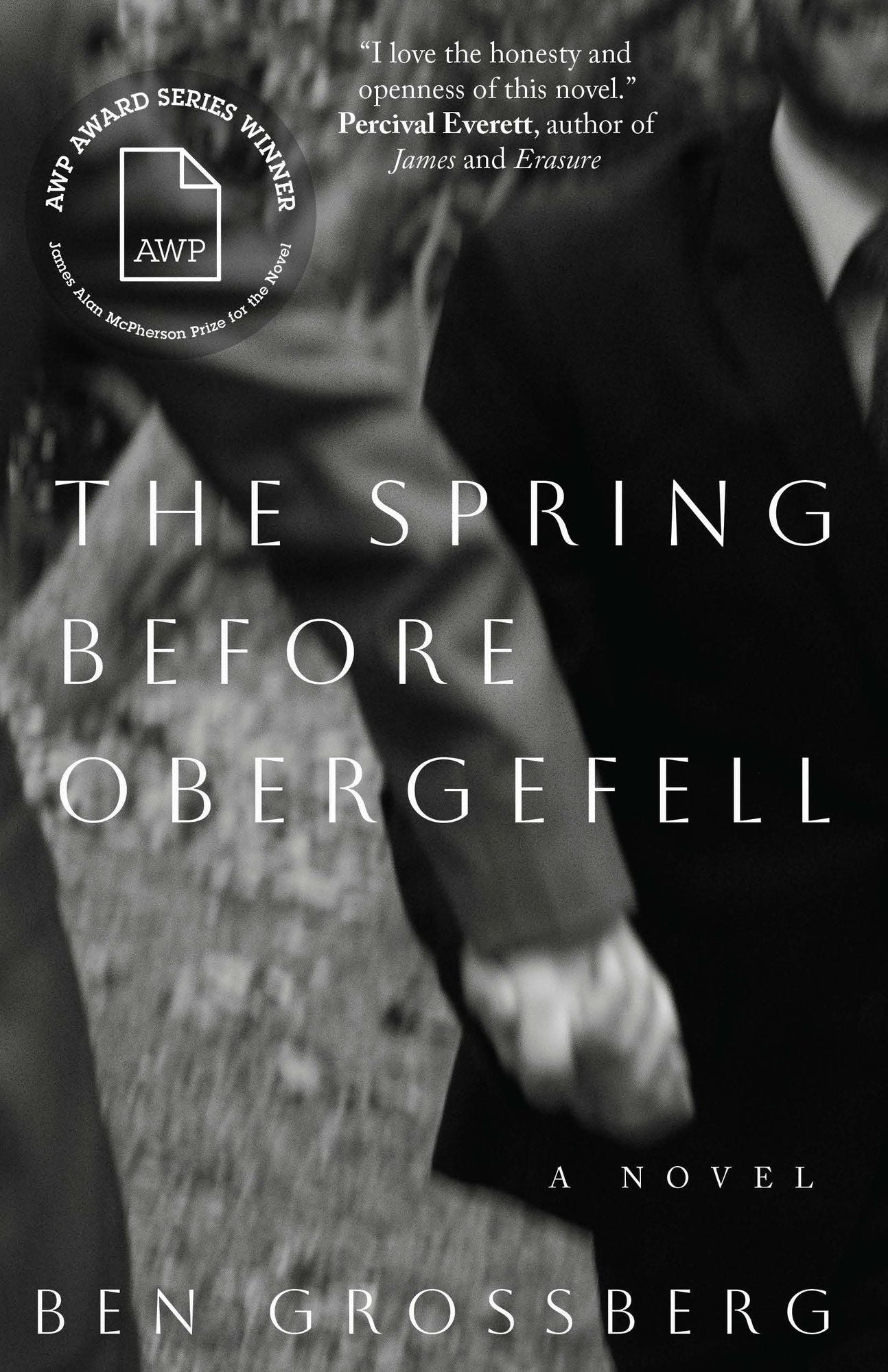 The Spring before Obergefell: A Novel