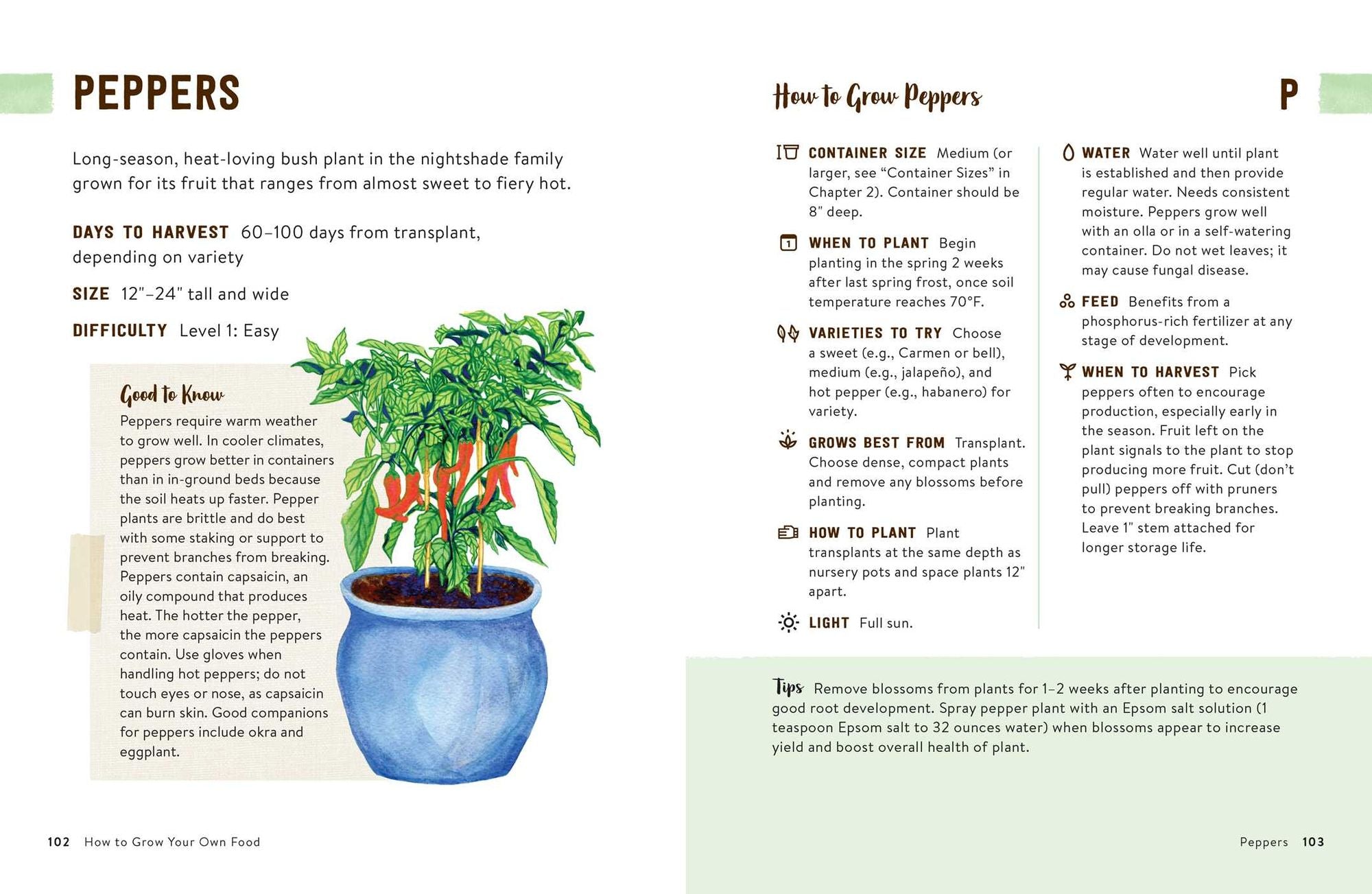 How to Grow Your Own Food: An Illustrated Beginner's Guide to Container Gardening