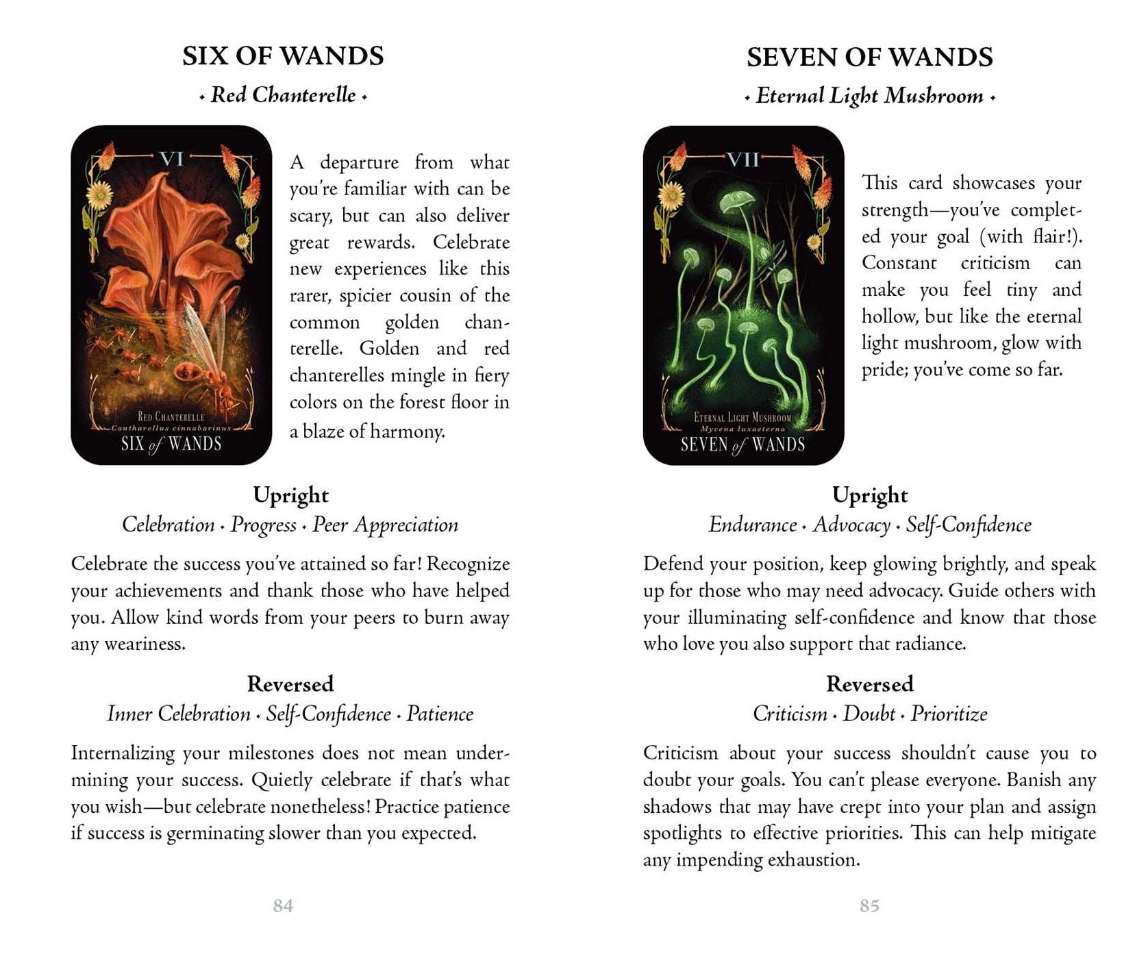 Midnight Magic: A Tarot Deck of Mushrooms