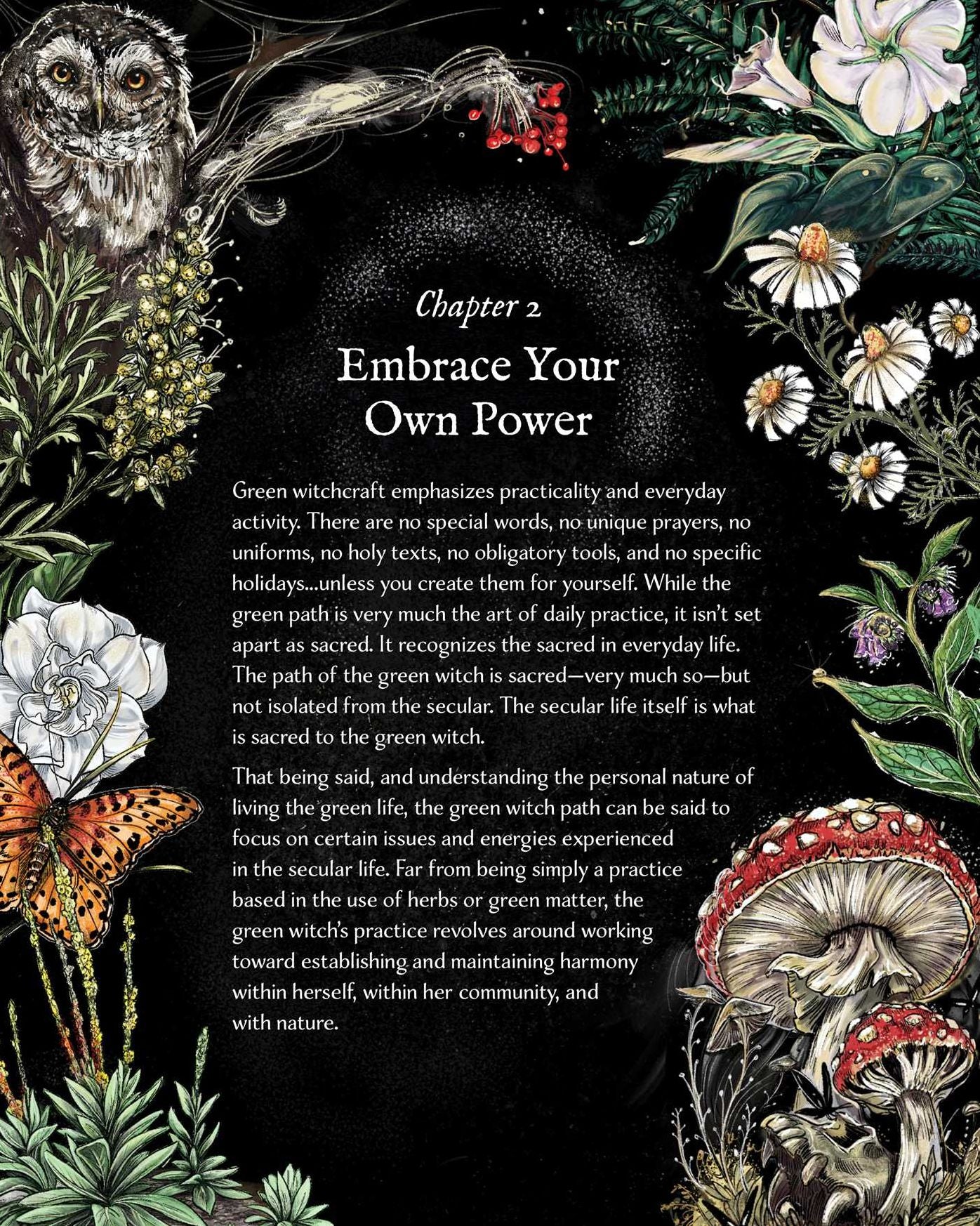 The Green Witch Illustrated: An Enchanting Immersion Into the Magic of Natural Witchcraft