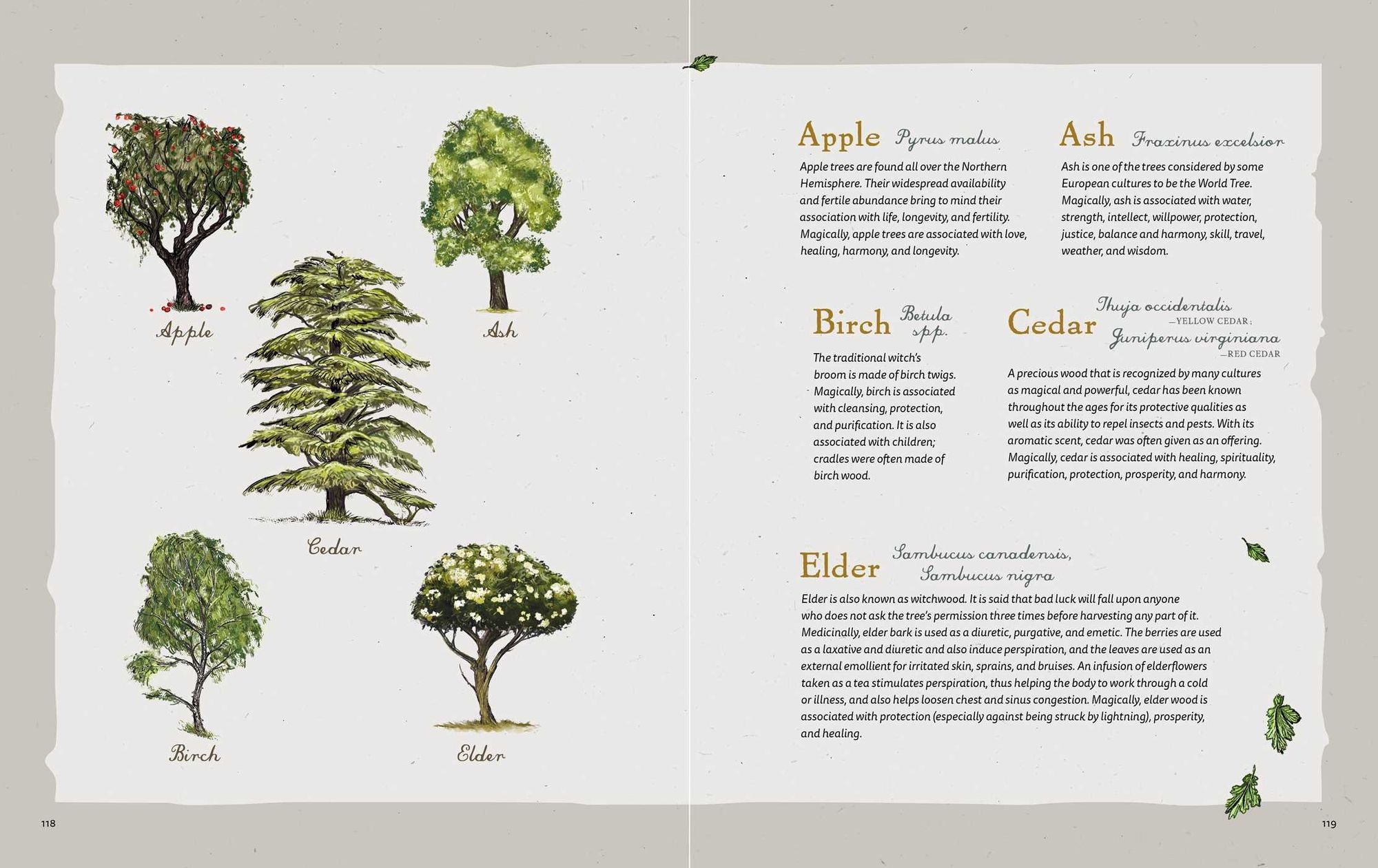 The Green Witch Illustrated: An Enchanting Immersion Into the Magic of Natural Witchcraft