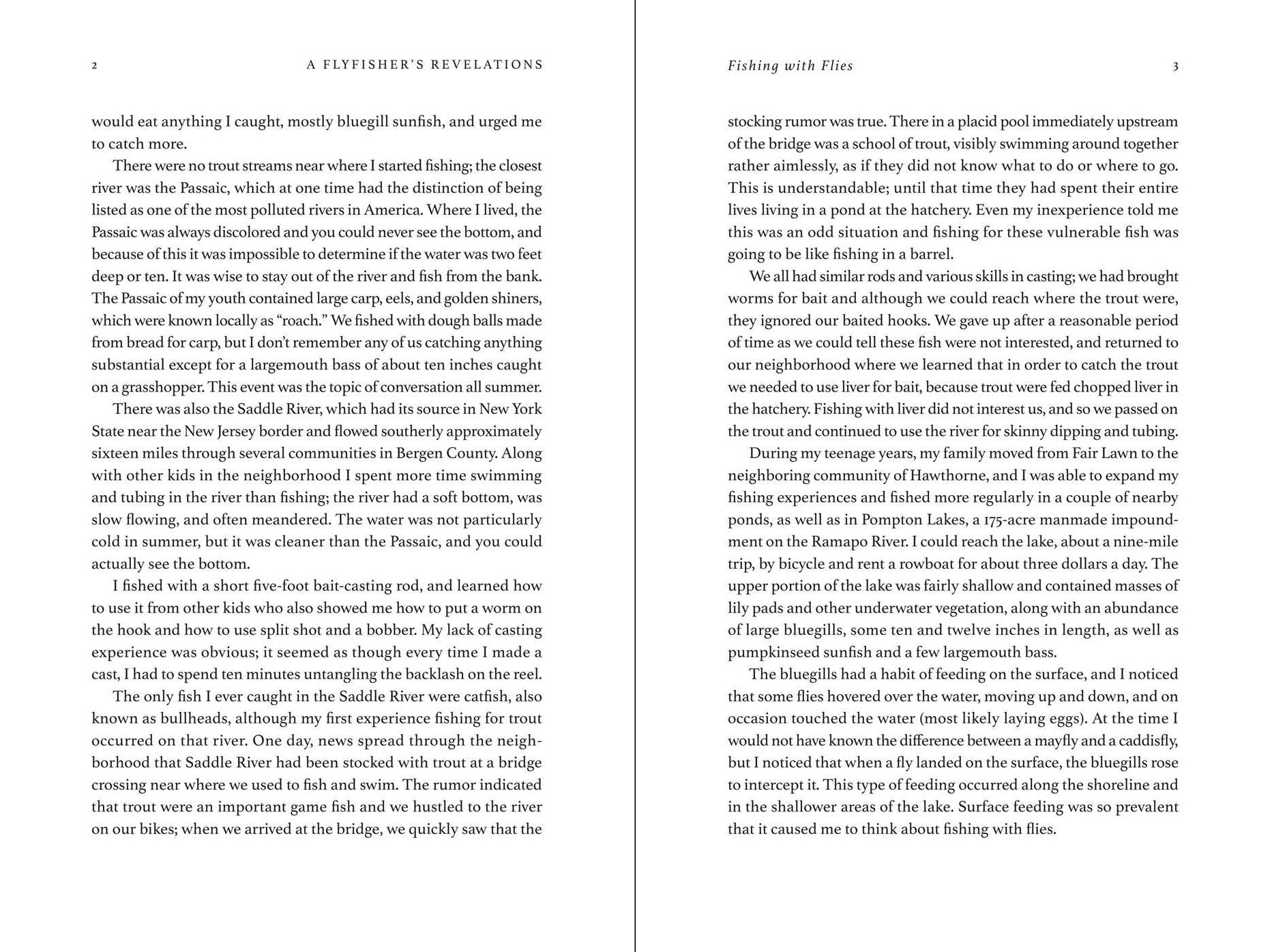 Flyfisher's Revelations: Practical Tips, Strategies, and Wisdom from Fifty Years Experience