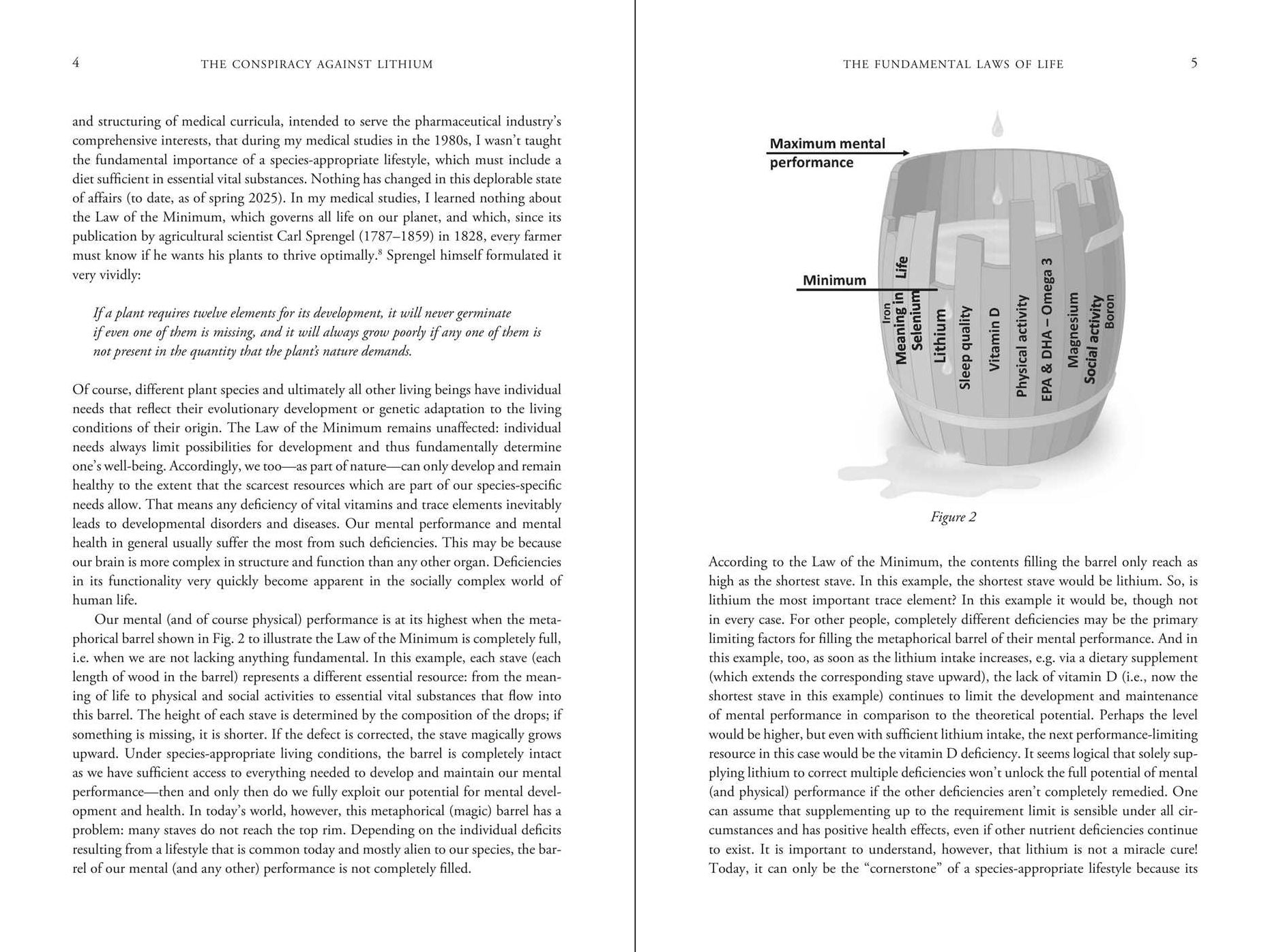 The Conspiracy Against Lithium: The Suppressed Essential Nutrient and its Benefits for Mental Health