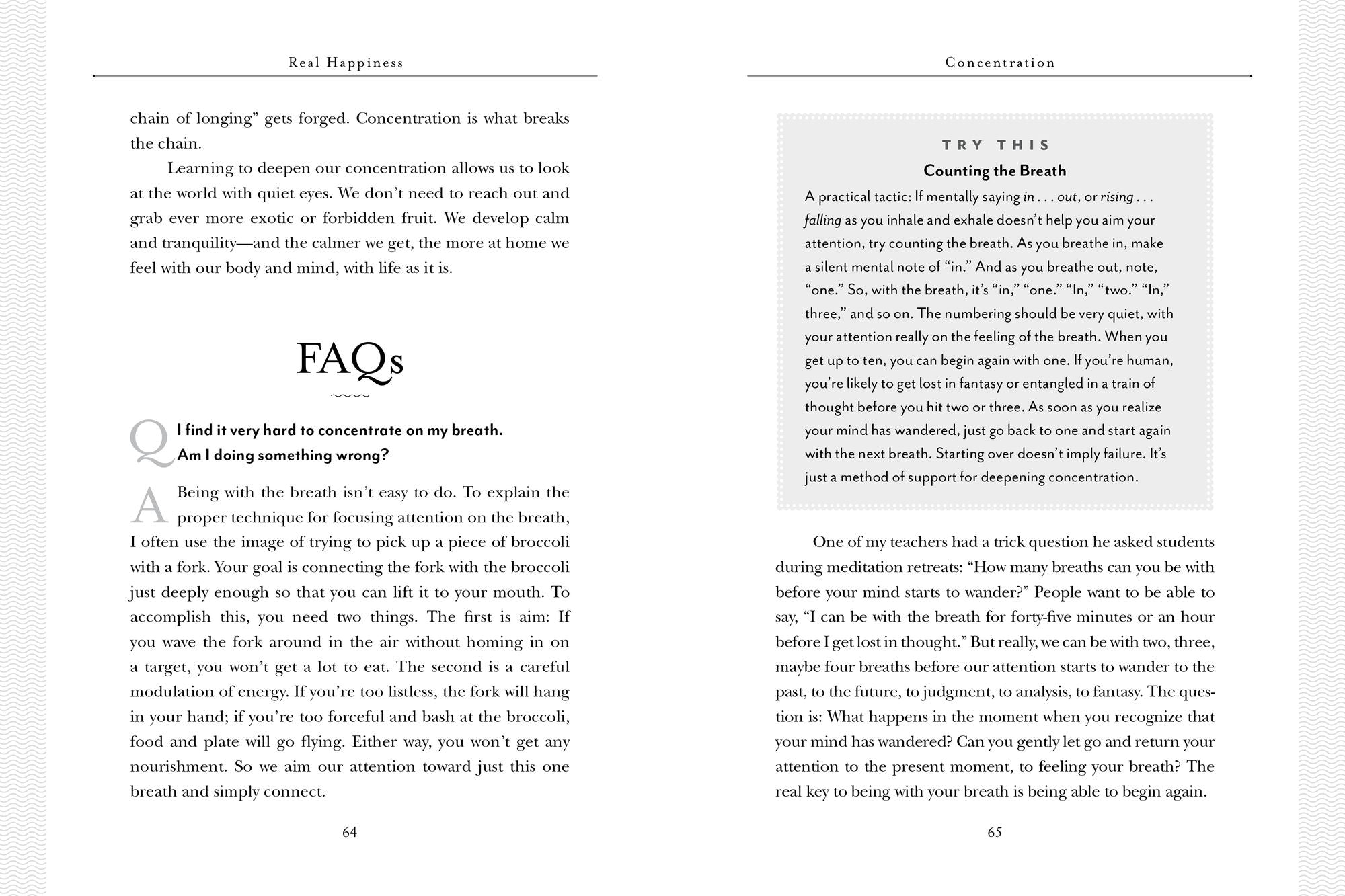 Real Happiness, 10th Anniversary Edition: A 28-Day Program to Realize the Power of Meditation