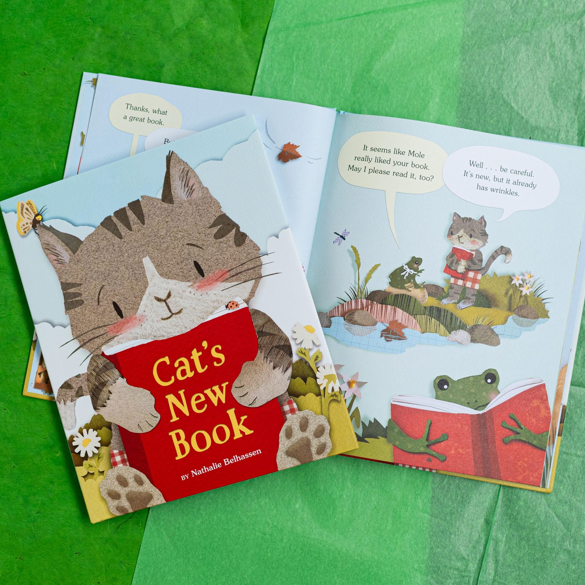 Cat's New Book