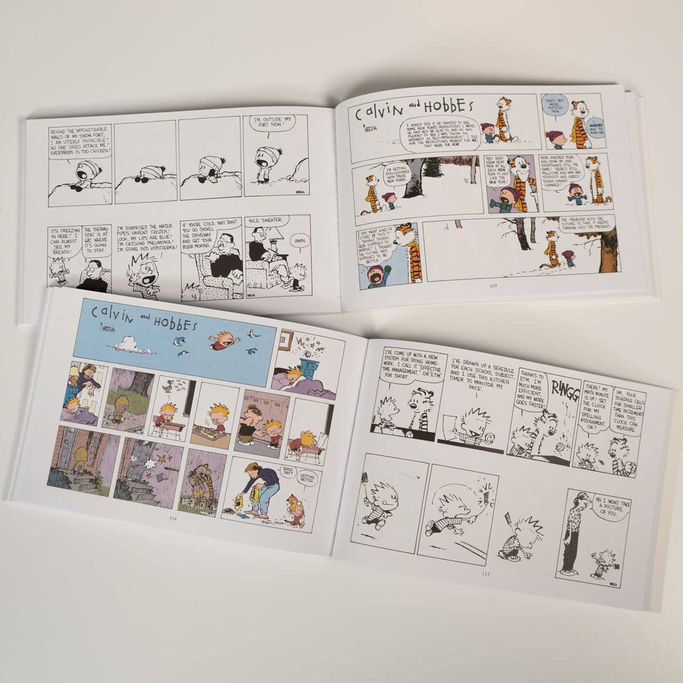 The Calvin and Hobbes Portable Compendium Set 4