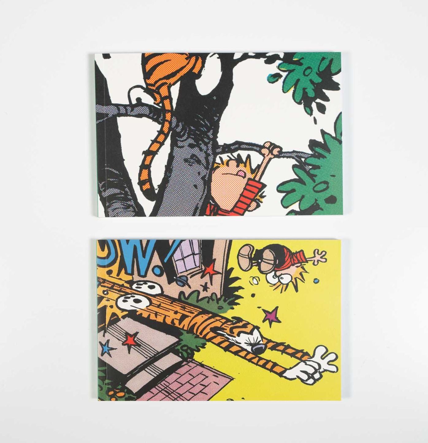The Calvin and Hobbes Portable Compendium Set 5