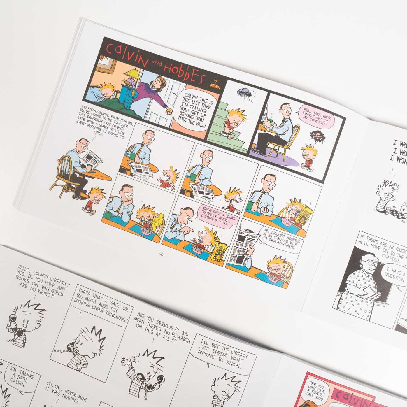 The Calvin and Hobbes Portable Compendium Set 5