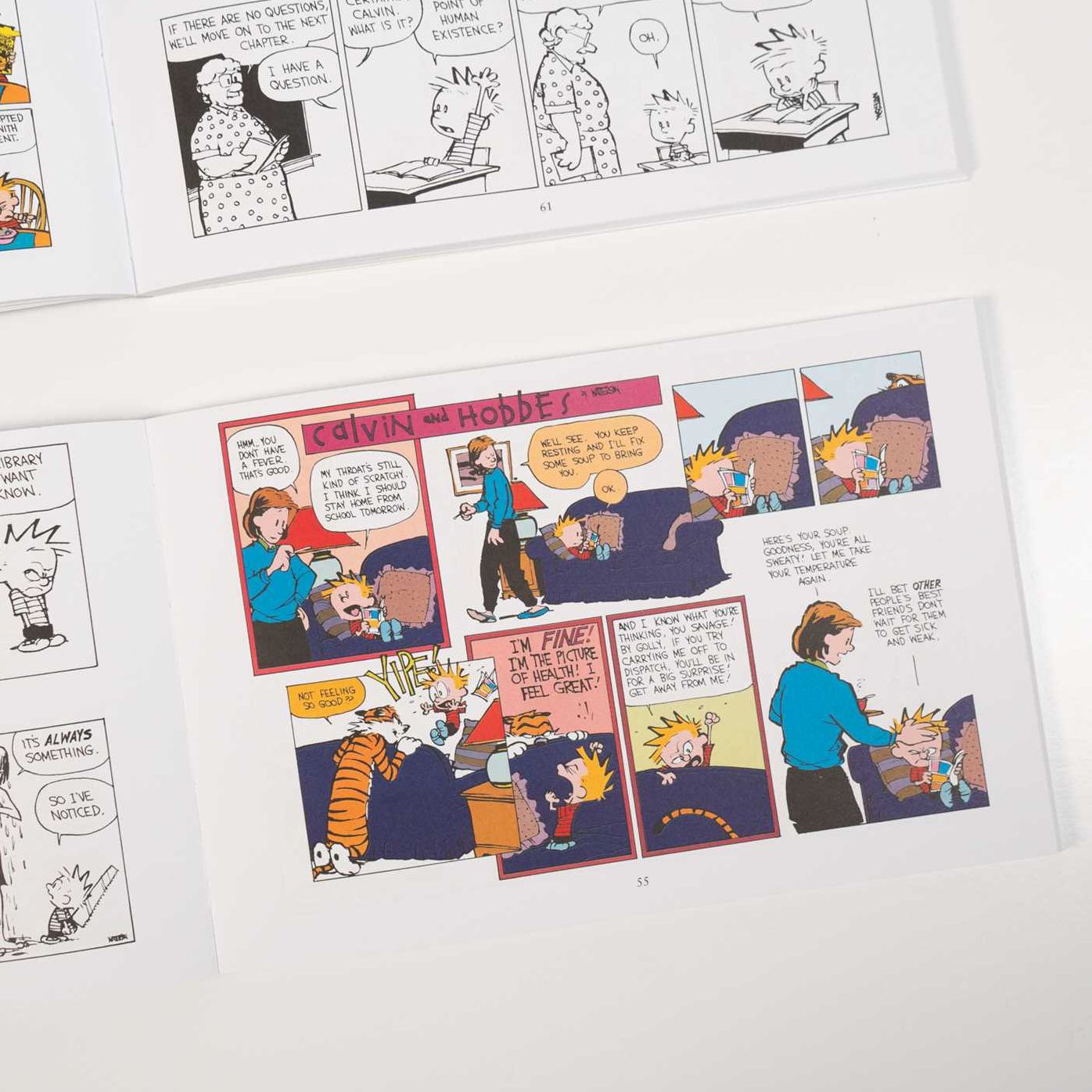 The Calvin and Hobbes Portable Compendium Set 5