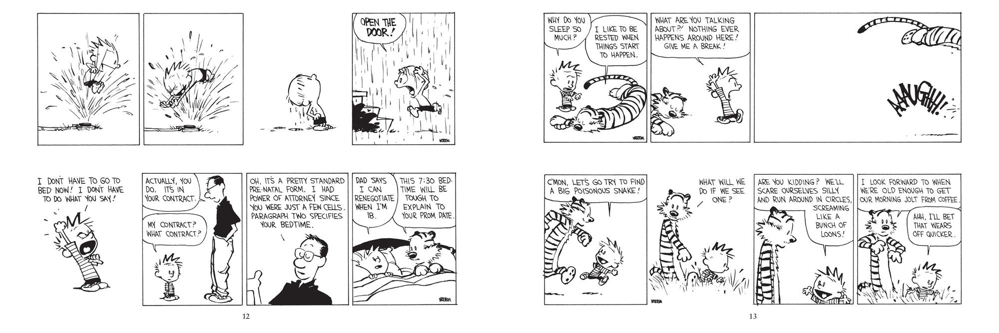 The Calvin and Hobbes Portable Compendium Set 5