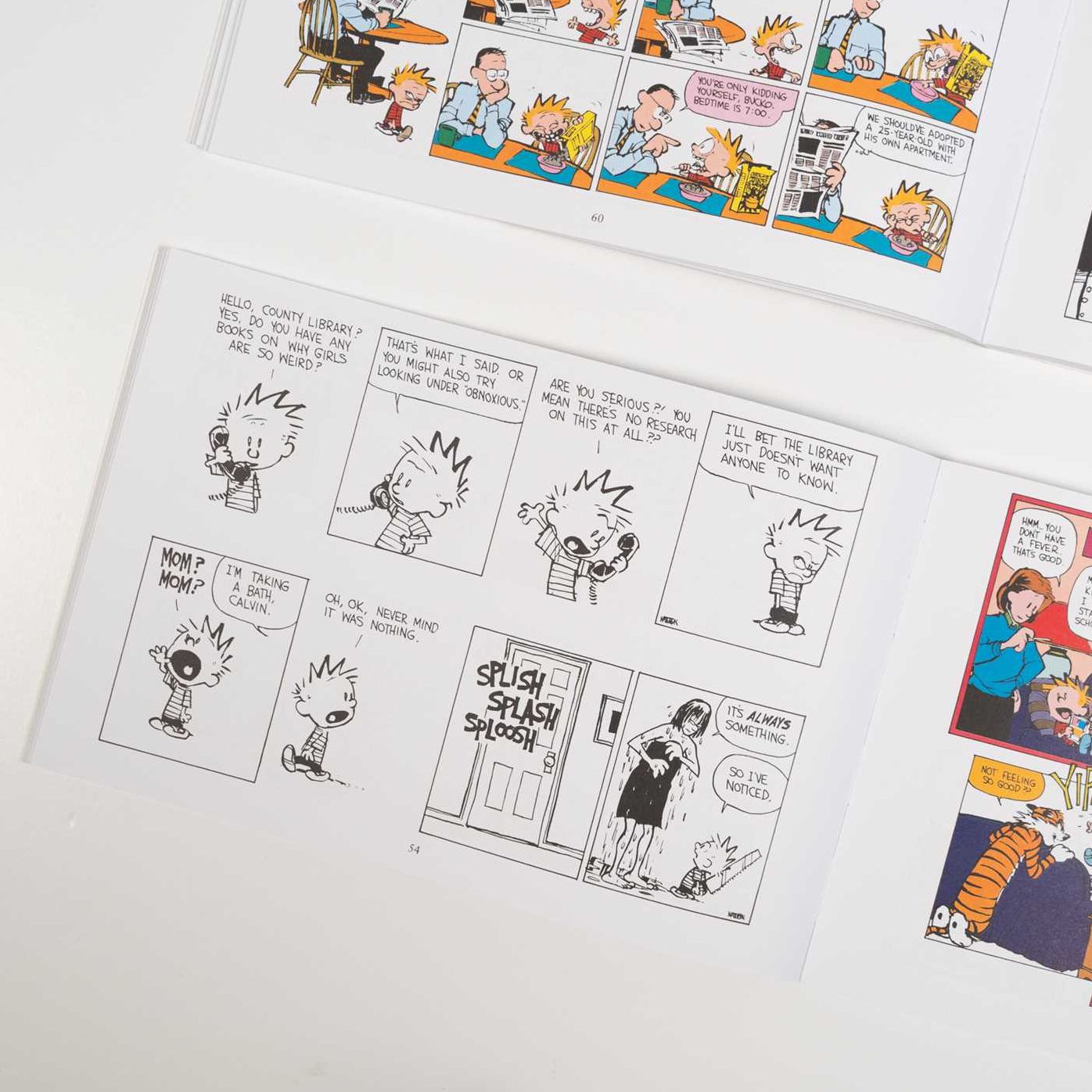 The Calvin and Hobbes Portable Compendium Set 5