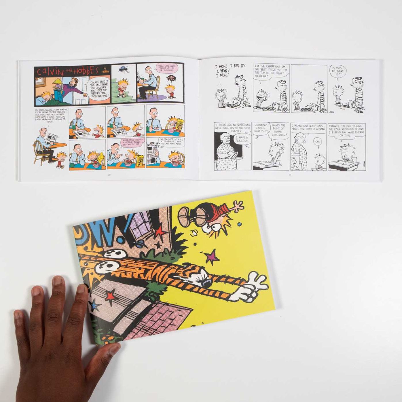 The Calvin and Hobbes Portable Compendium Set 5