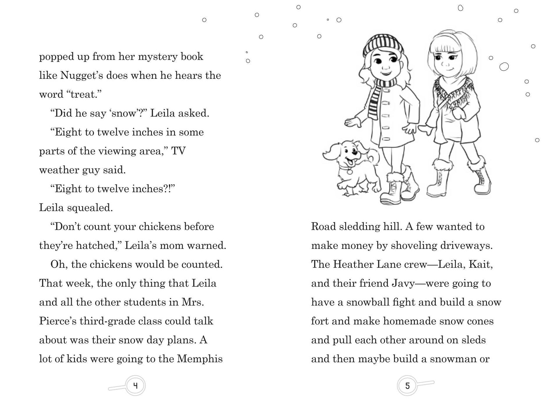 Leila & Nugget Mystery Box Set