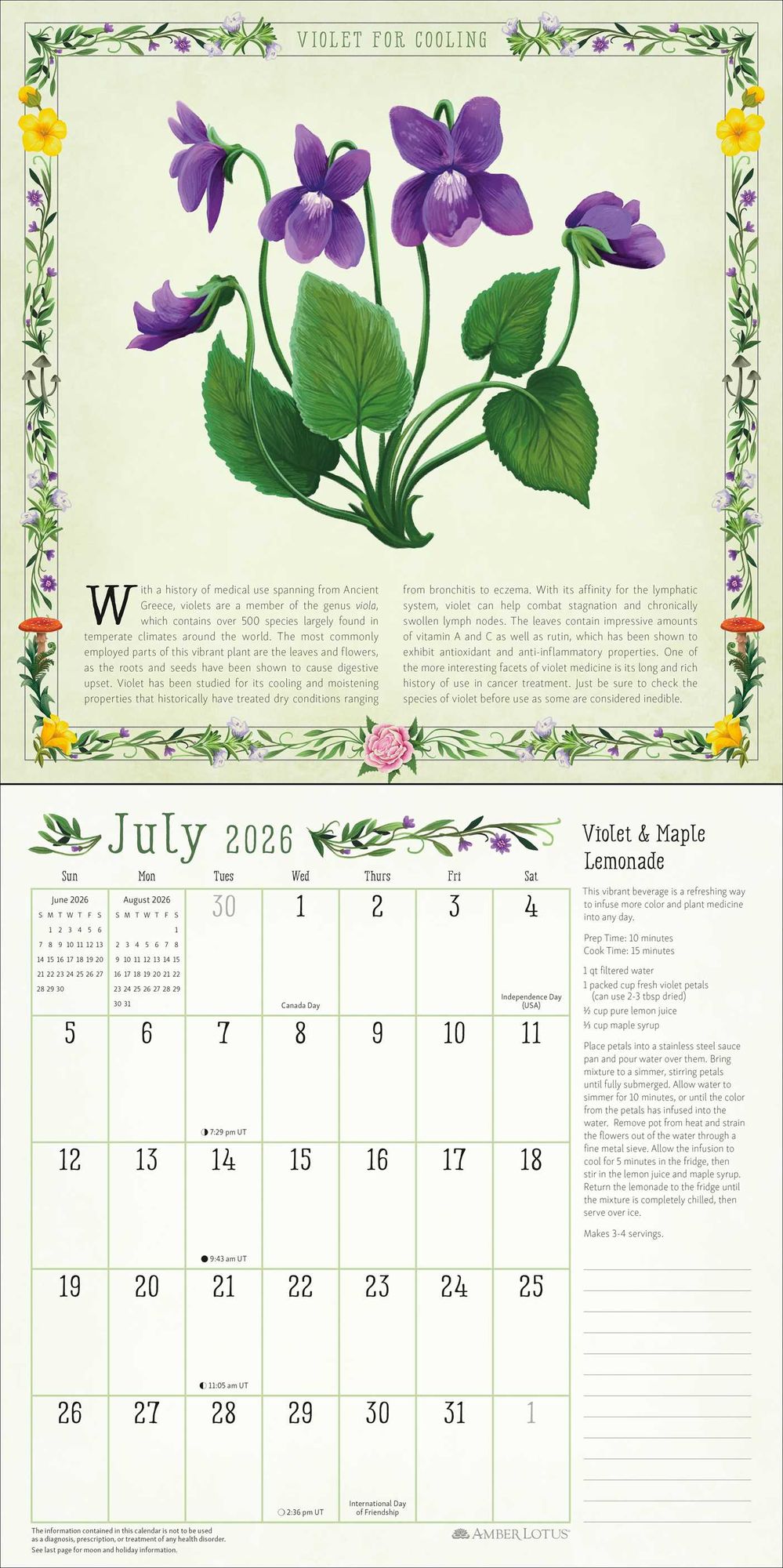 2026 Kitchen Witch Wall Calendar