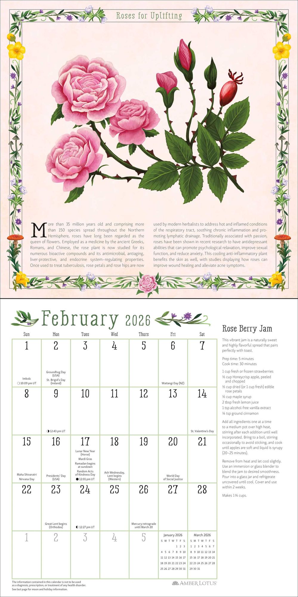 2026 Kitchen Witch Wall Calendar