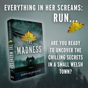 The Madness: A Novel