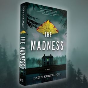 The Madness: A Novel