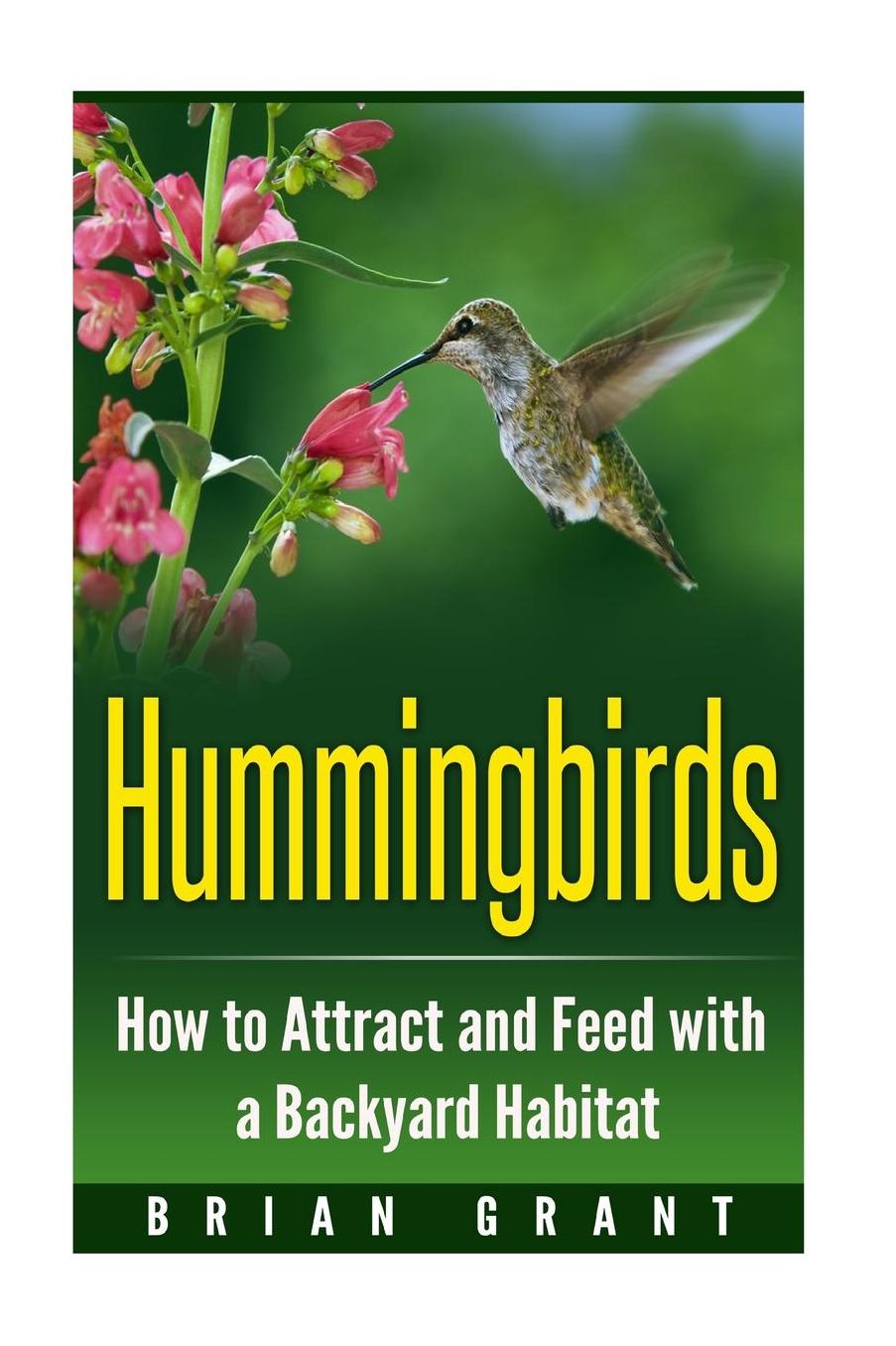 Hummingbirds: How to Attract and Feed with a Backyard Habitat