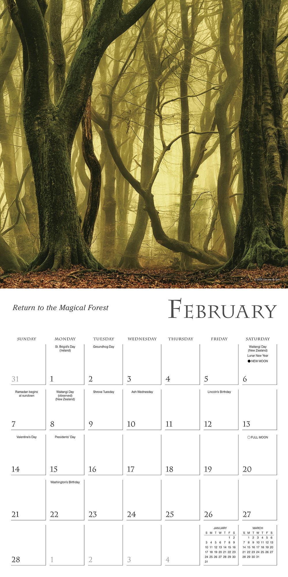 2027 Enchanted Pathways ¿ Photography by Lars van de Goor Wall Calendar