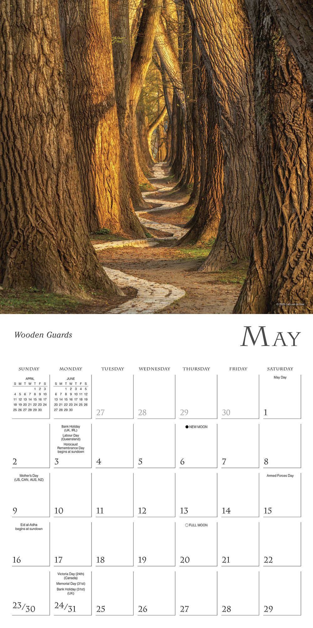 2027 Enchanted Pathways ¿ Photography by Lars van de Goor Wall Calendar