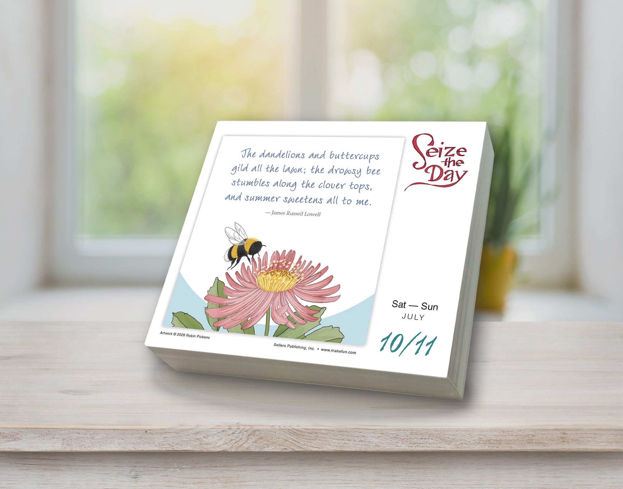 2027 Seize the Day and Make it Yours ¿ Robin Pickens Boxed/Daily Calendar