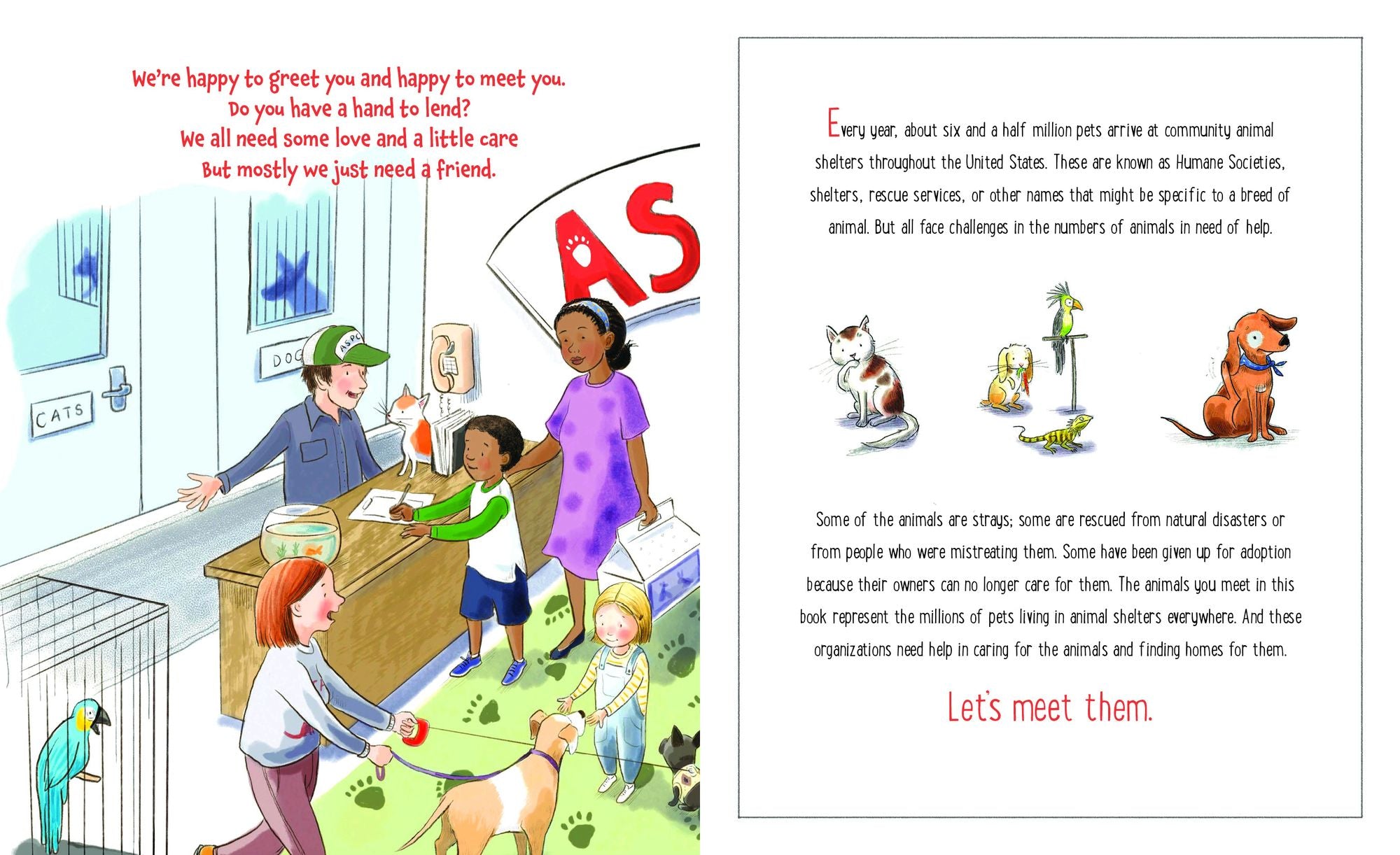 Tails from the Animal Shelter