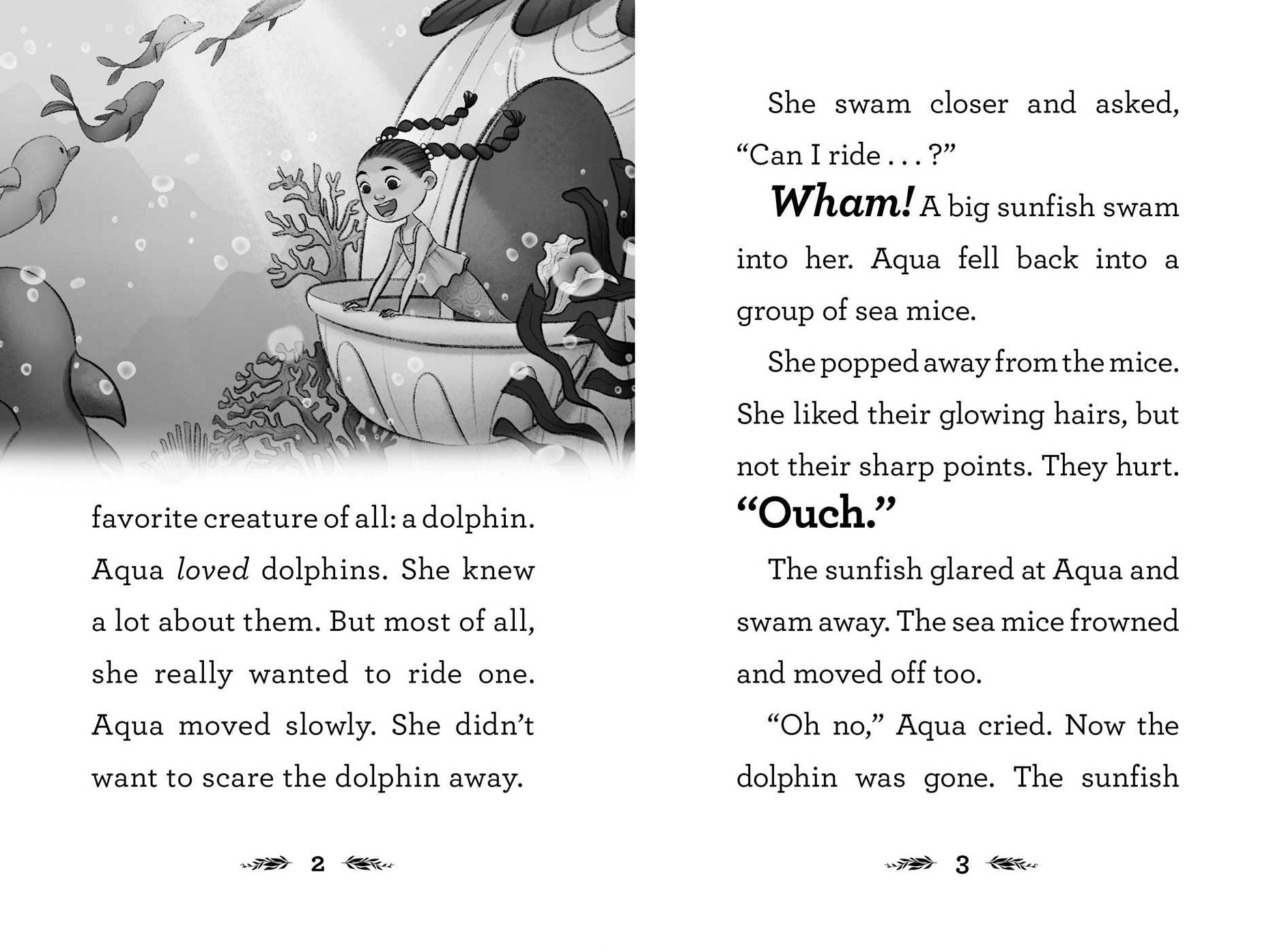 The Dolphin Dream: A QUIX Book