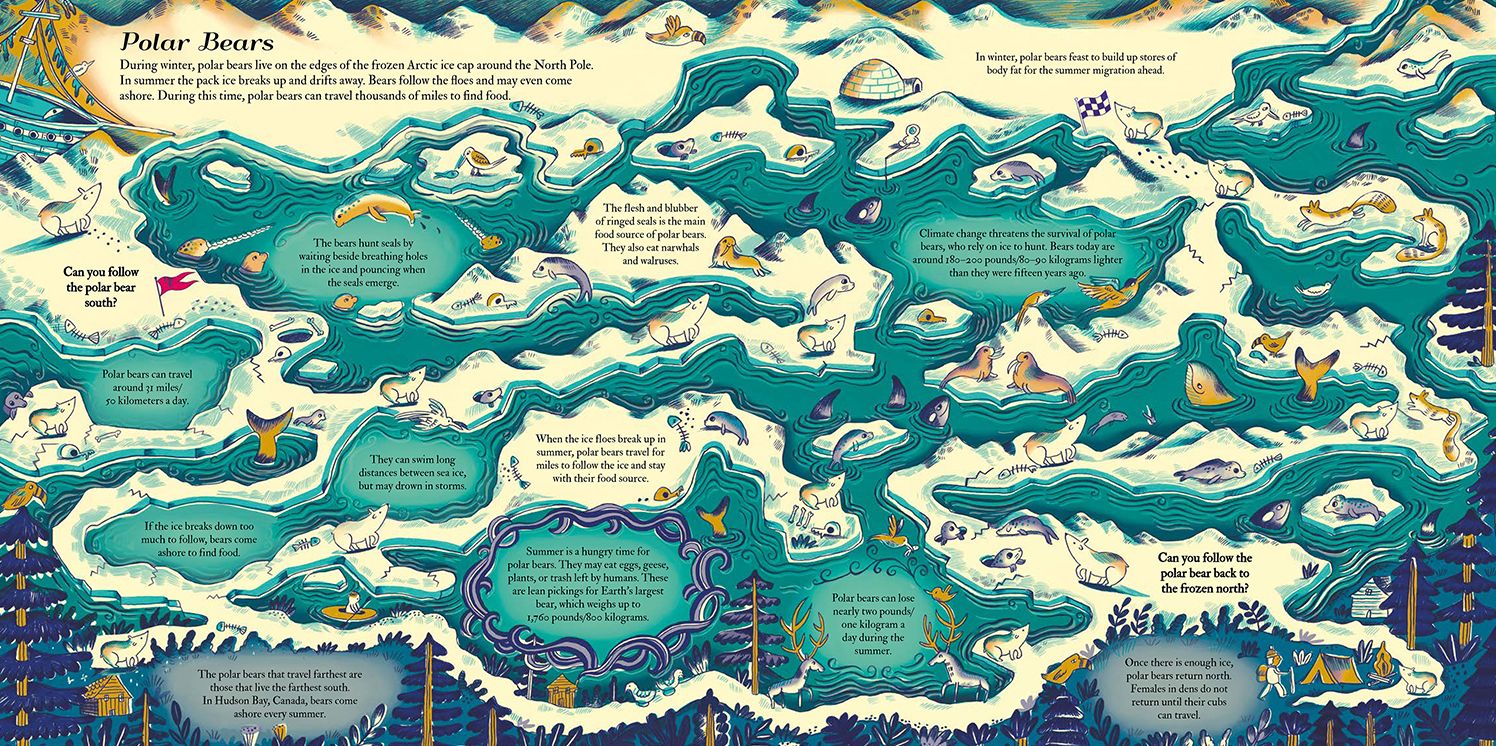 Animazes: Extraordinary Animal Migrations