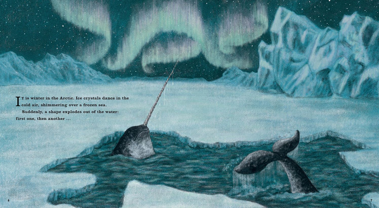 Narwhal: The Arctic Unicorn