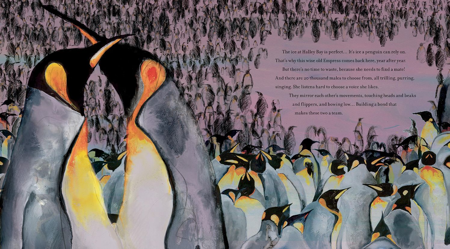 Emperor of the Ice: How a Changing Climate Affects a Penguin Colony