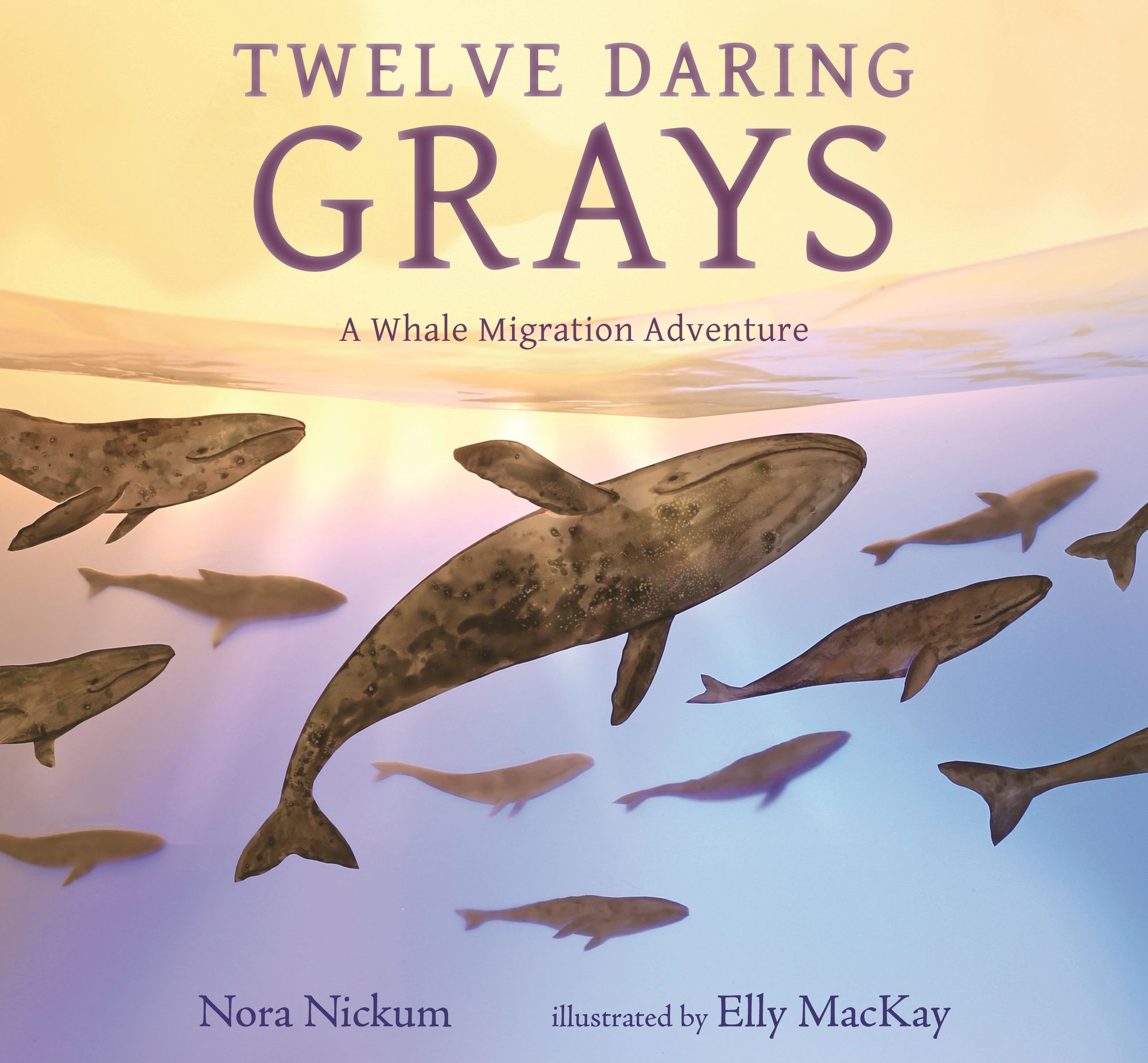 Twelve Daring Grays: A Whale Migration Adventure: (A Nonfiction Picture Book About Marine Life, Animal Behavior, and Ocean Ecosystems for Ages 5-8)