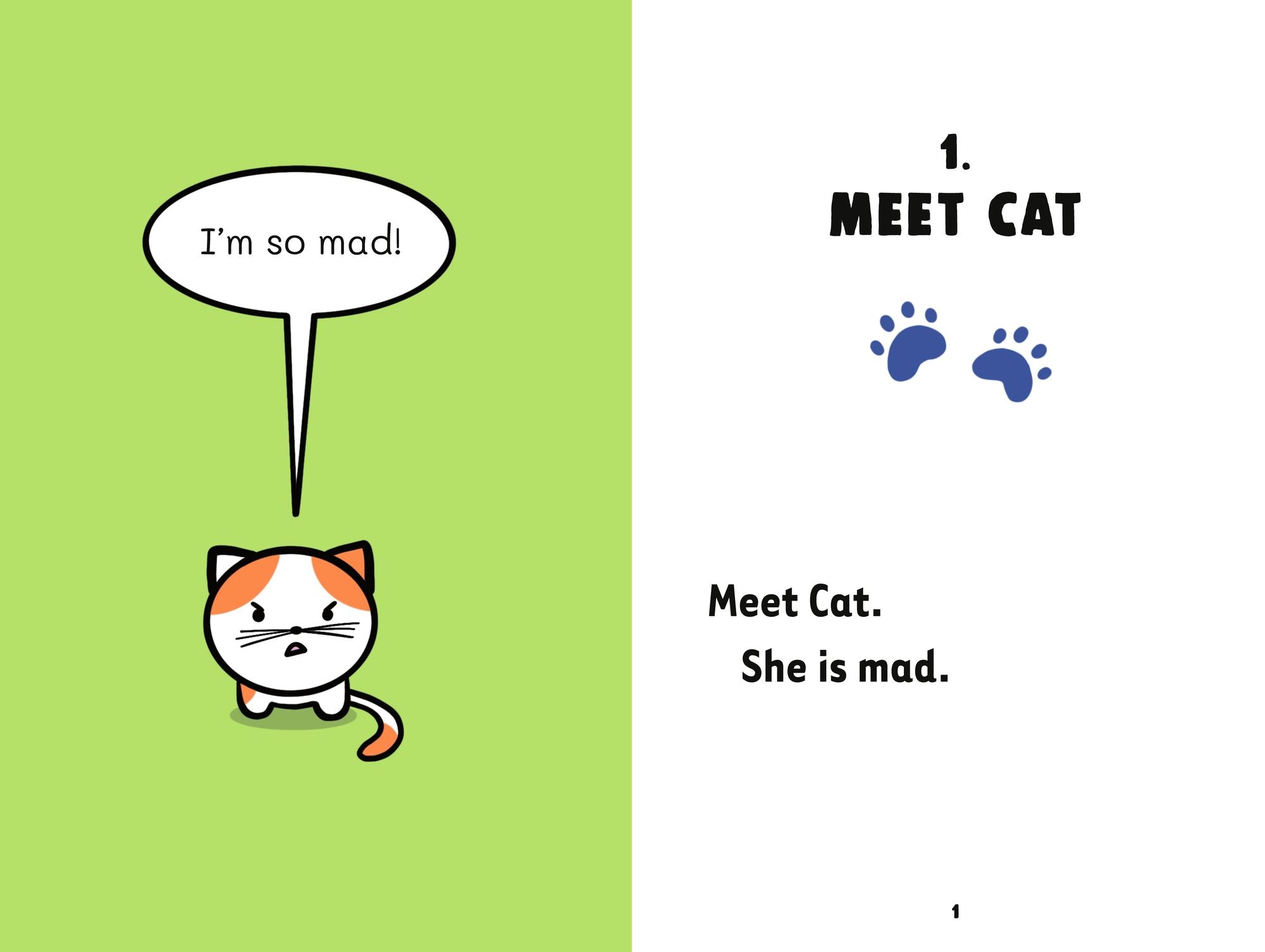 One Mad Cat and the Missing Book